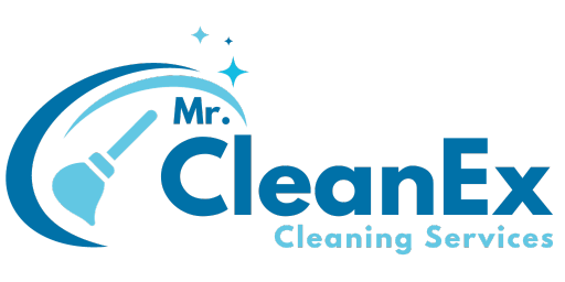 Mr CleanEx